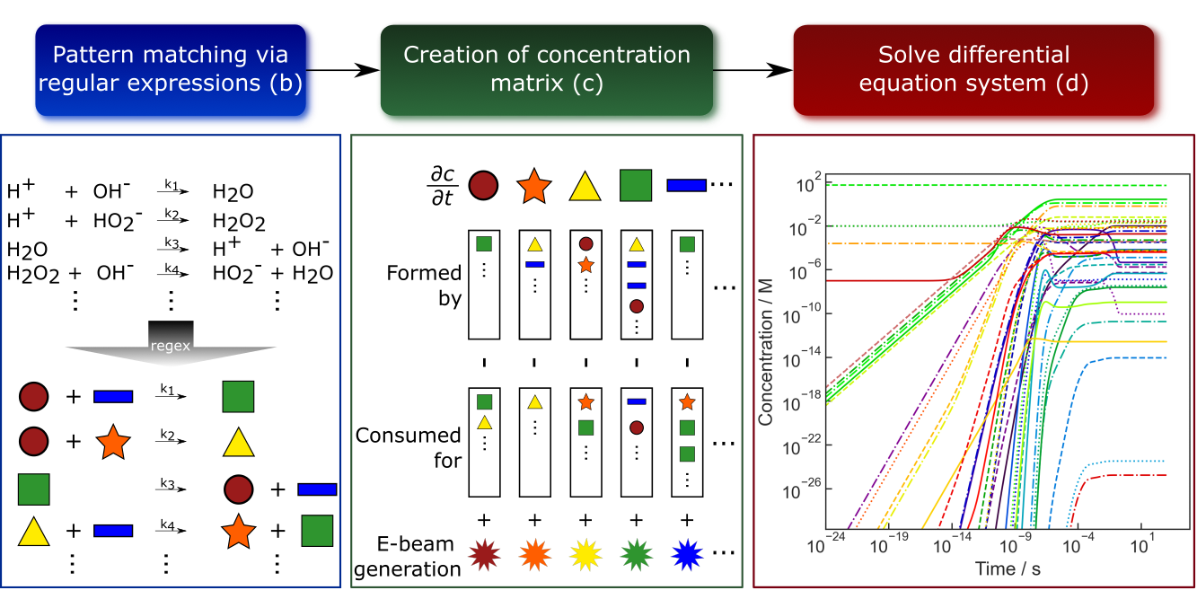 Radiolysis-simulations