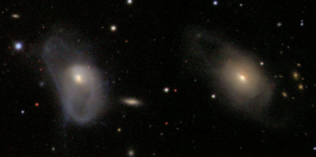 Evolution-of-CANDELS-Massive-Spheroid-and-Disk-Galaxies