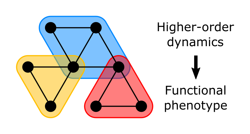 PPI-hypergraph-geometry