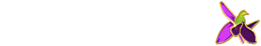 Report News Agency