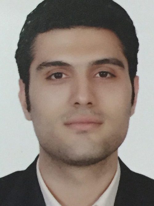 Mohammad Hossein Ahmadi