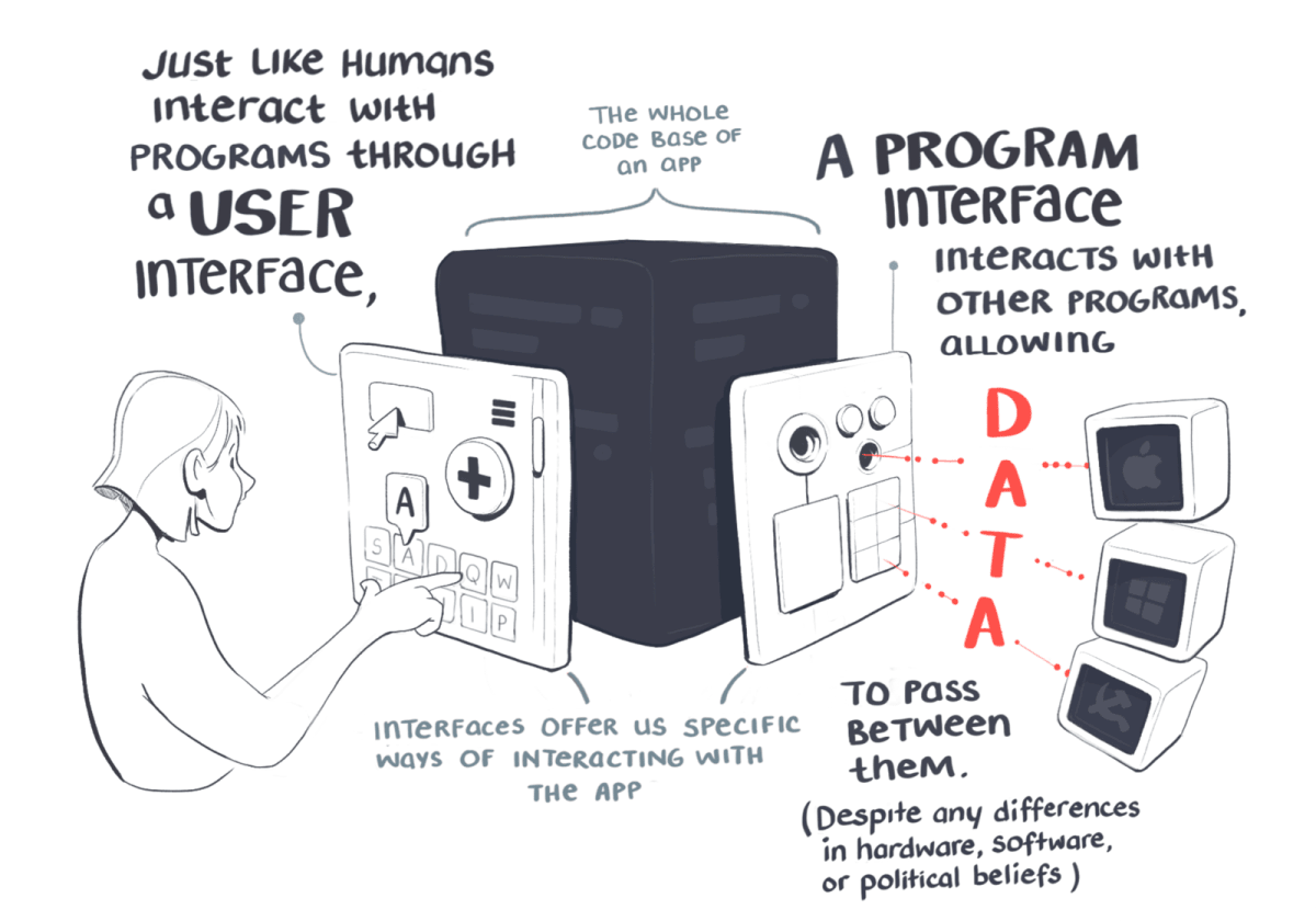 Just like humans interact with a programme through a user interface, a programme interface interacts with other programmes