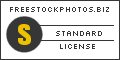 License Info