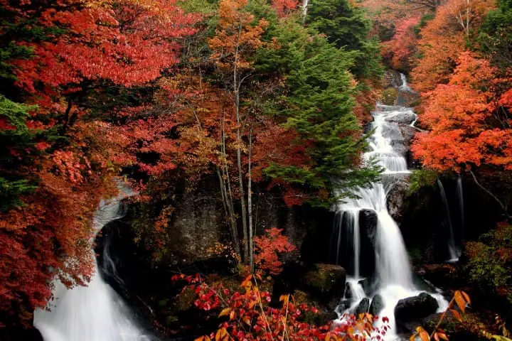 Visit Nikko in the Fall! An Autumn Day Trip From Tokyo