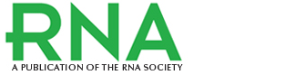 RNA