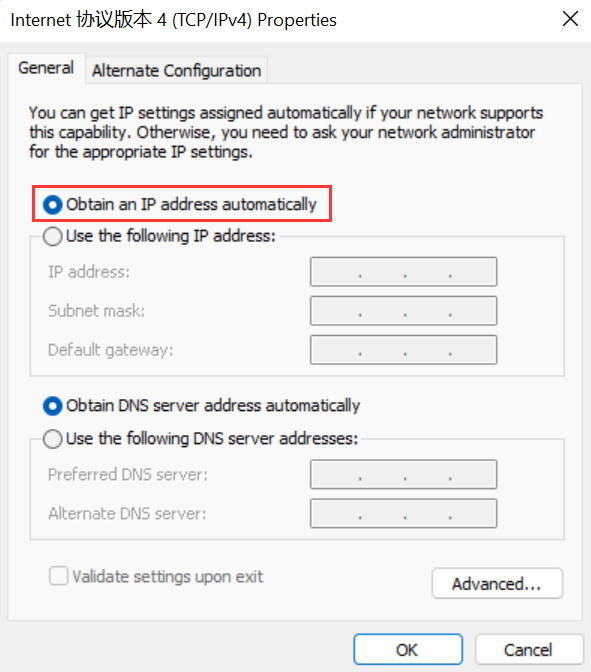 IPv4 Properties