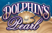 logo dolphins pearl novomatic 