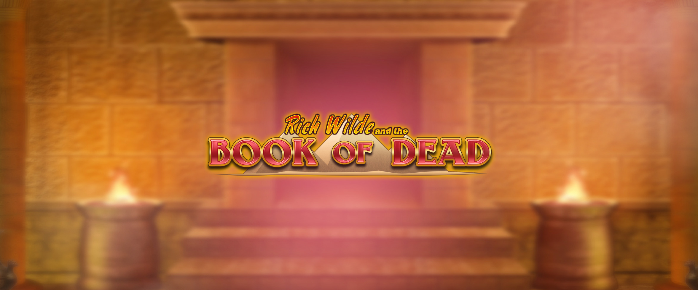 Book of Dead big win at Wildz