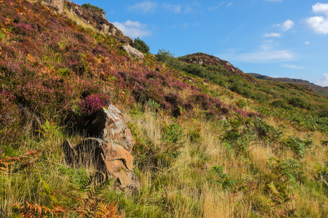 Hillside under Cnoc Ruaridh