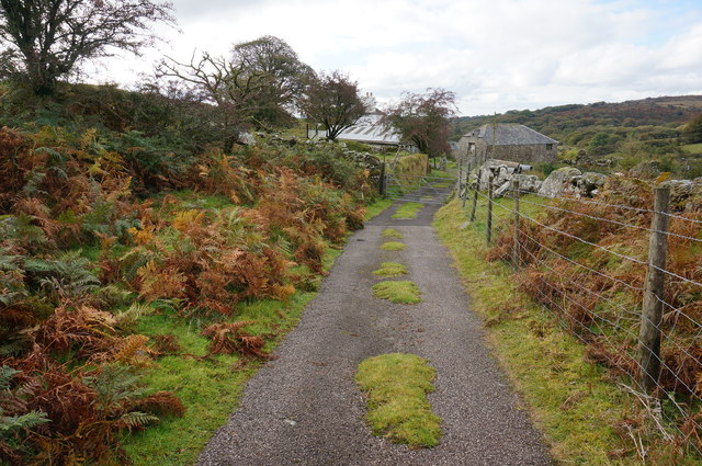 Approaching Longash