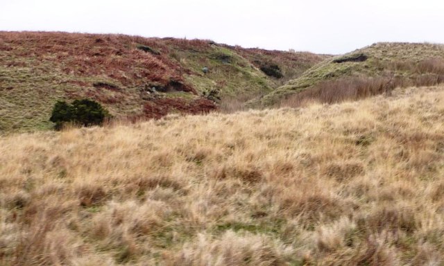 Gully of a moorland stream coming from Delves Tarn