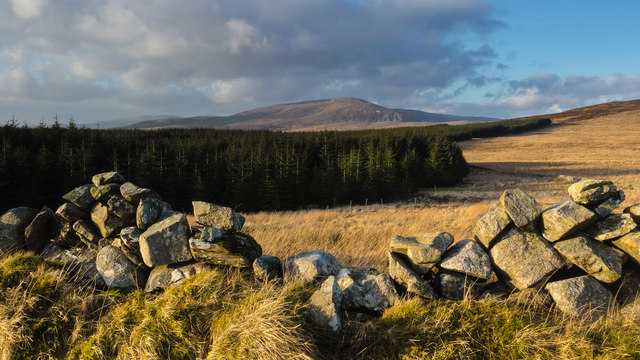 Glenquicken Moor