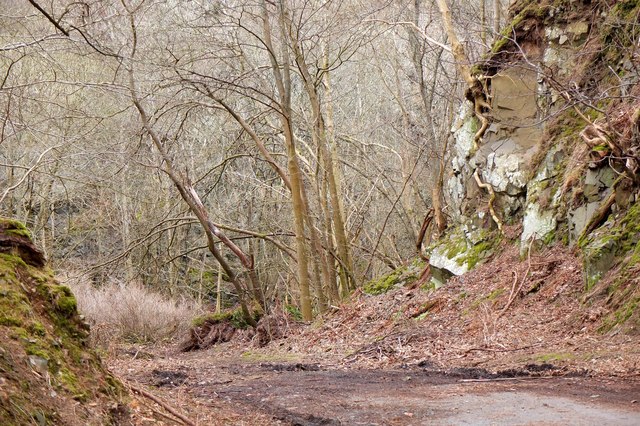 Entrance to Venlaw quarry, Peebles