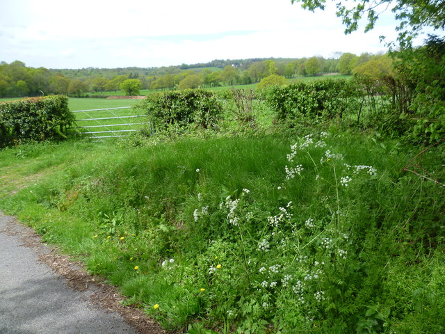 View from the driveway to Henden Manor