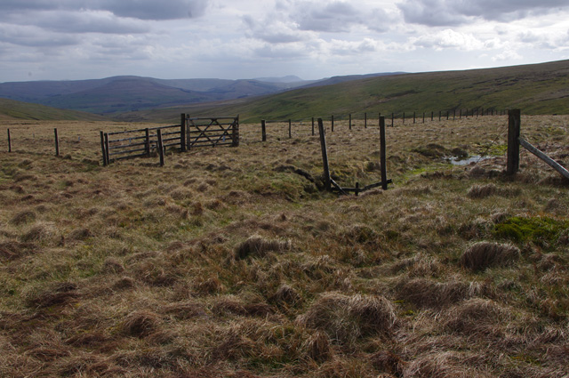 Fences above Fossdale Gill