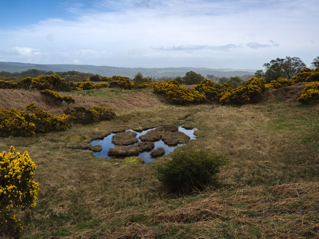 Pond on slopes of Ardwall Hill