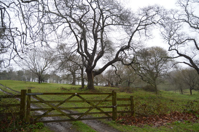 Saltram Parkland