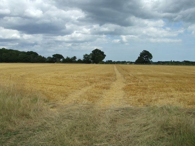 Harvested Field