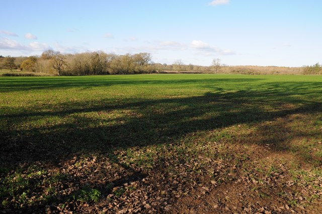 Arable field near Hell Copse