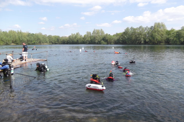 Divers in the Water