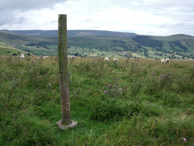 Old wooden post