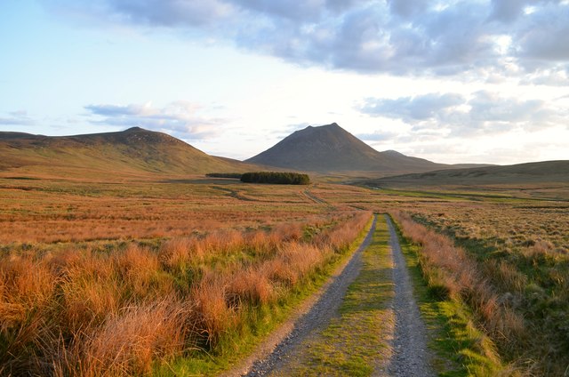 Track to Corrichoich and Morven, Caithness