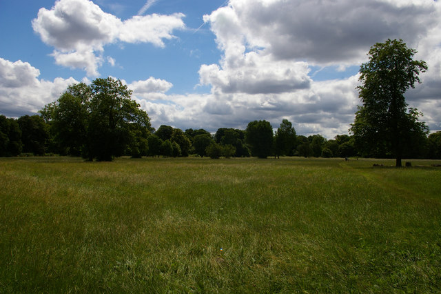 Morden Hall Park: the Hay Meadow