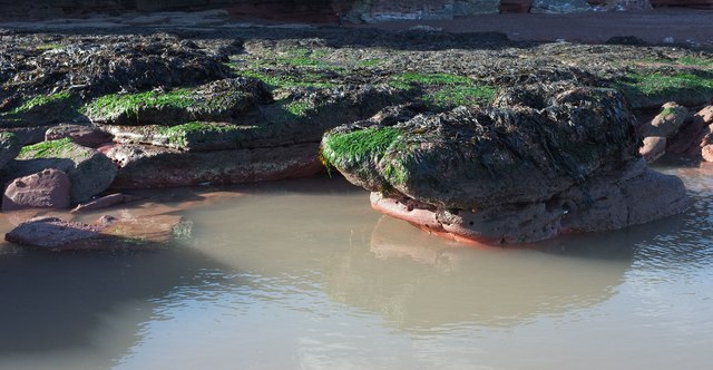 Rocks by Hollicombe Head