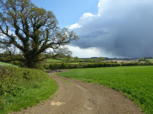 Farmland track