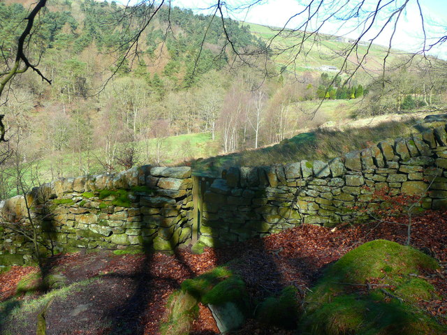 Gate on Wadsworth FP34 leaving Purprise Wood