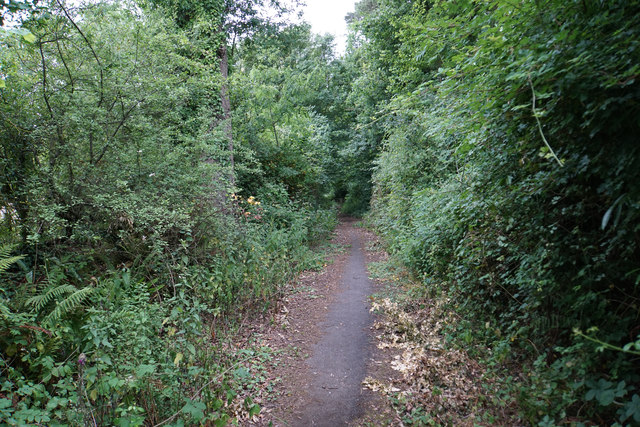 Footpath near Crowcombe