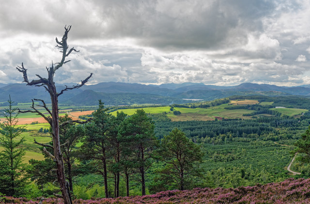 View from Cnoc Mòr