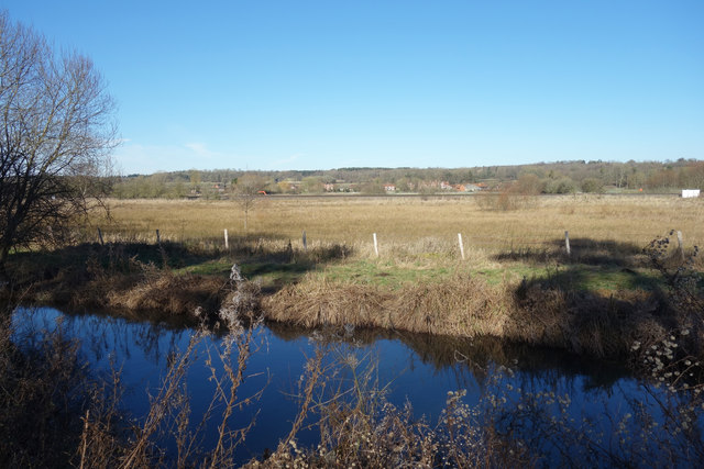 Towards Marsh Benham