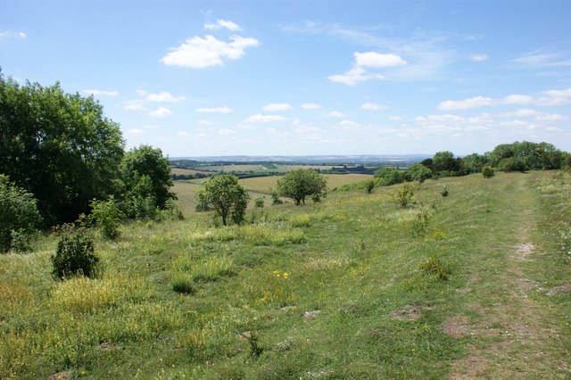 Chiltern Way, Swyncombe Downs