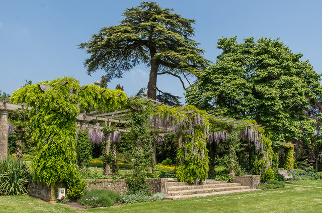 The Pergola, West Dean Gardens