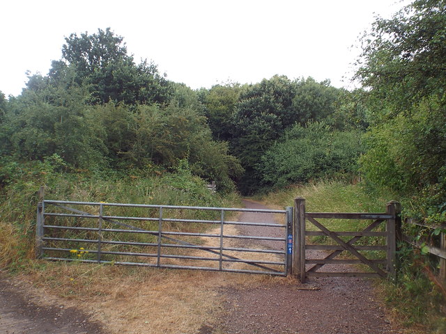 Brampton Valley Way near Kelmarsh