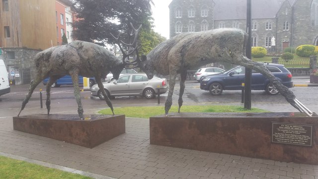 The Red Deer of Ireland