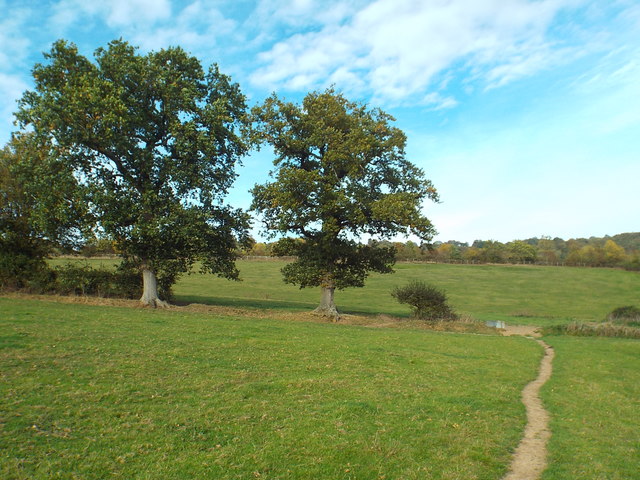 Greensand Way near Sevenoaks Weald