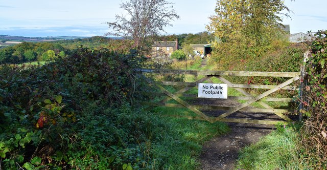 The track to Bower hill.