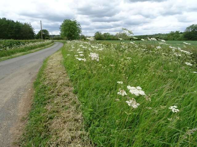 Roadside verge