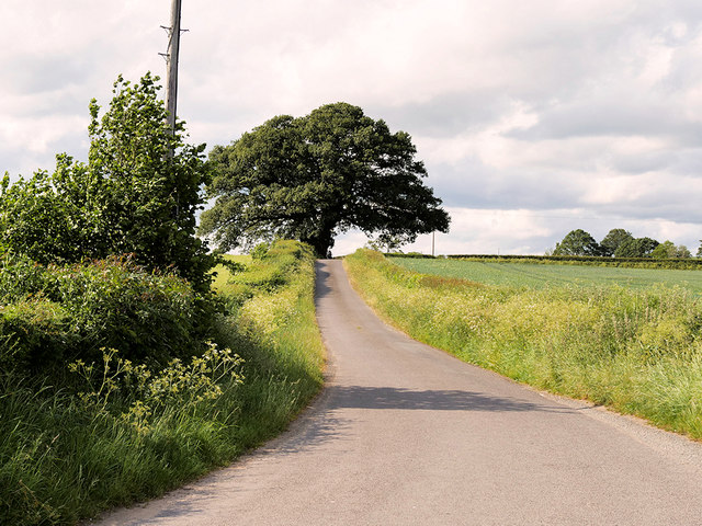 Minor Road near Dryton