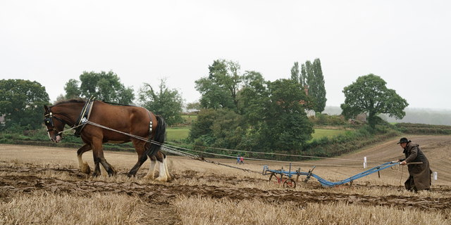 Surrey County Ploughing Match 2019