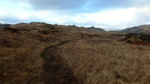 Path north of Great Crag