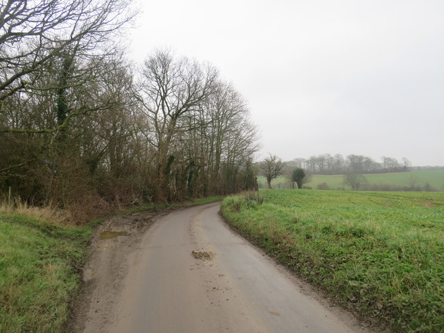 Country lane near Farnham