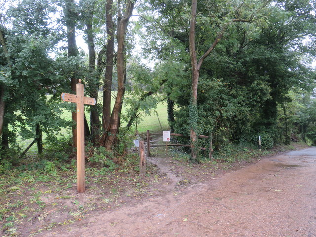 North Downs Way near Godstone