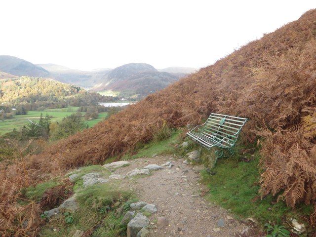 A Path Side Bench