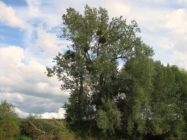 River Severn