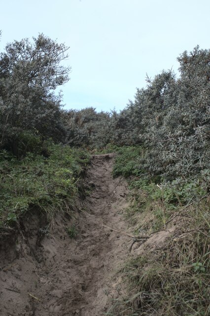 The top of the dune