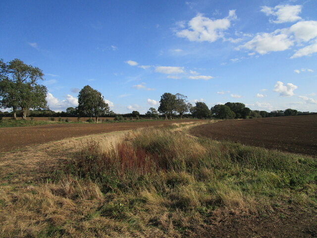 Drain near Stonegrove Spinney