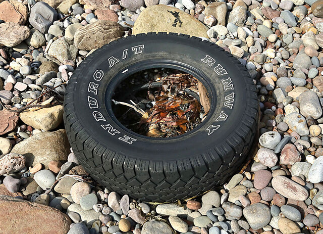 A tyre on the shore at The Skipper